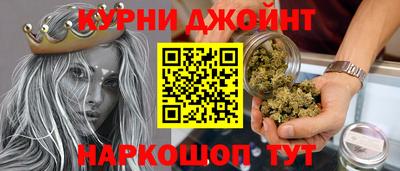 стаф Новокубанск