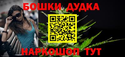 стаф Новокубанск