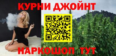 стаф Новокубанск