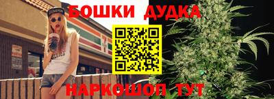 стаф Новокубанск