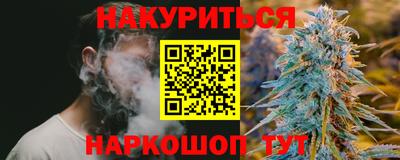 стаф Новокубанск