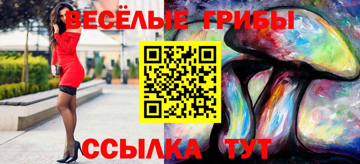 Галлюциногенные грибы мицелий  Вход с VPN  наркотики  Ставрополь 